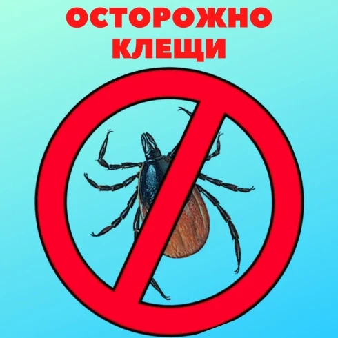 Акция "Клещи близко"